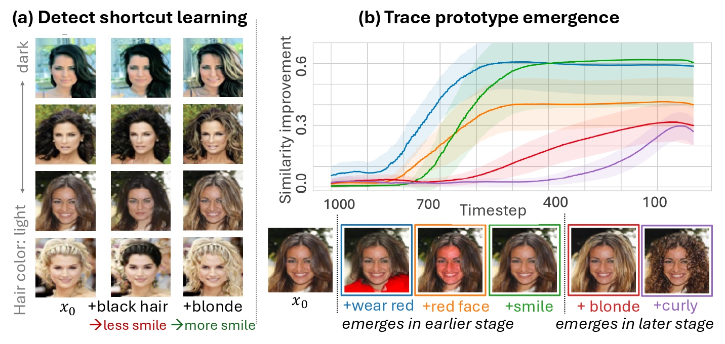 Patronus as interpretable tool