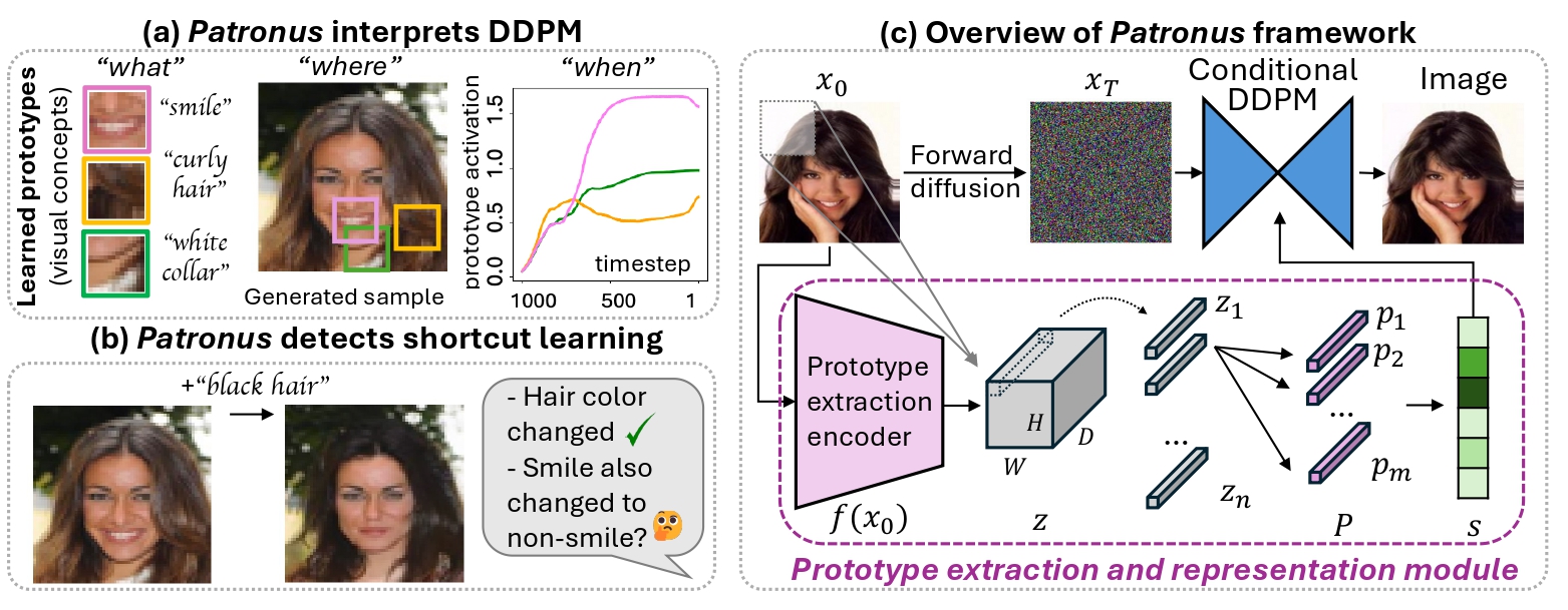 Main figure description
